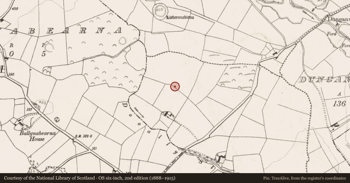 Ordnance Survey six-inch map, 2nd edition (1888–1915) covering the location of Ringfort - rath, Ballinena, County Limerick, with a pin at the register's coordinates
