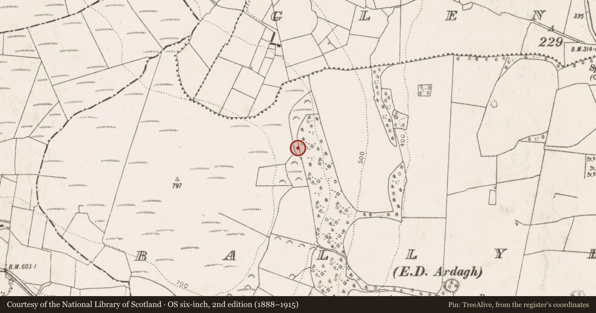 Ordnance Survey six-inch map, 2nd edition (1888–1915) covering the location of Burial mound, Ballylin, County Limerick, with a pin at the register's coordinates