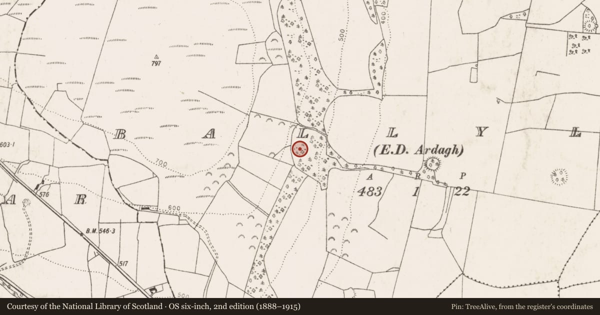 Ordnance Survey six-inch map, 2nd edition (1888–1915) covering the location of Fulacht fia, Ballylin, County Limerick, with a pin at the register's coordinates