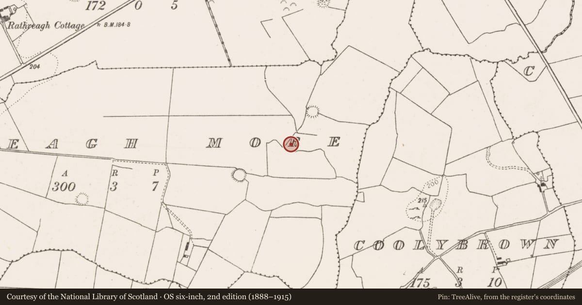 Ordnance Survey six-inch map, 2nd edition (1888–1915) covering the location of Church, Rathreagh More, County Limerick, with a pin at the register's coordinates
