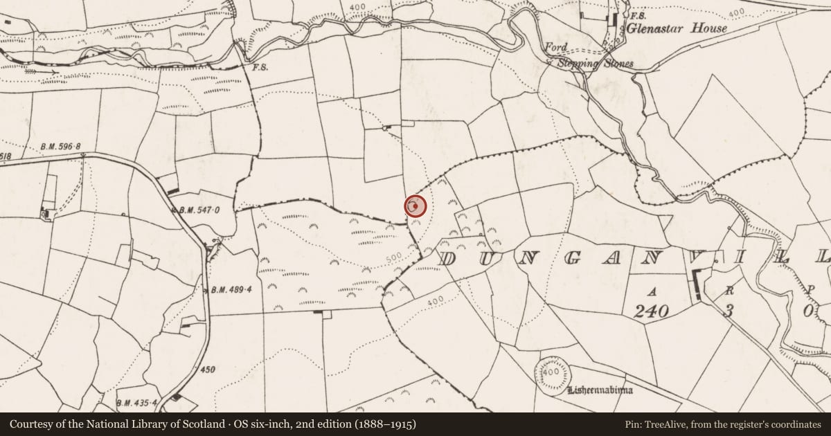 Ordnance Survey six-inch map, 2nd edition (1888–1915) covering the location of Enclosure, Dunganville Upper, County Limerick, with a pin at the register's coordinates