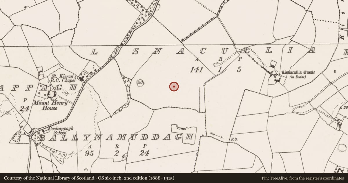 Ordnance Survey six-inch map, 2nd edition (1888–1915) covering the location of Standing stone, Lisnacullia, County Limerick, with a pin at the register's coordinates