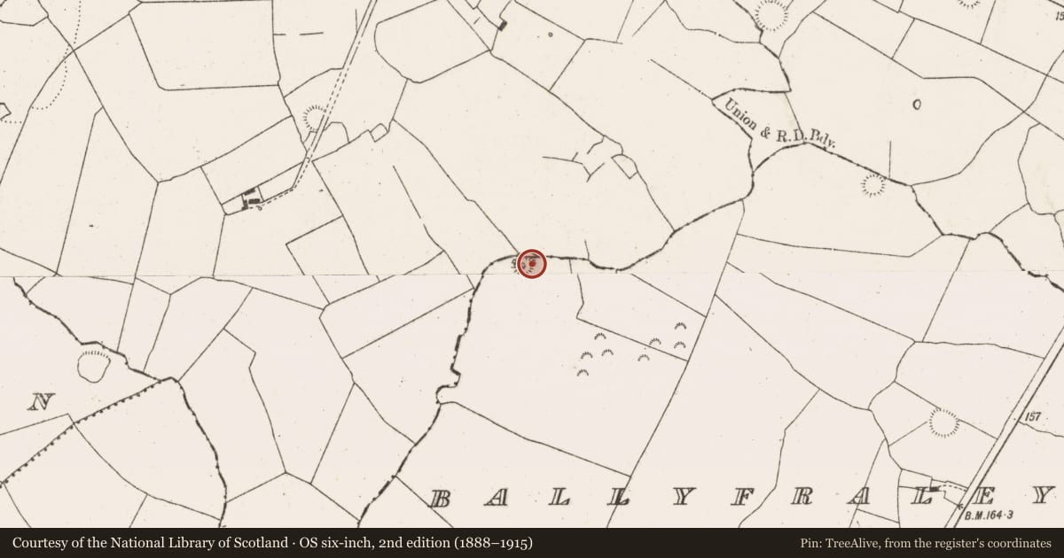 Ordnance Survey six-inch map, 2nd edition (1888–1915) covering the location of Ringfort - rath, Ballyfraley, County Limerick, with a pin at the register's coordinates