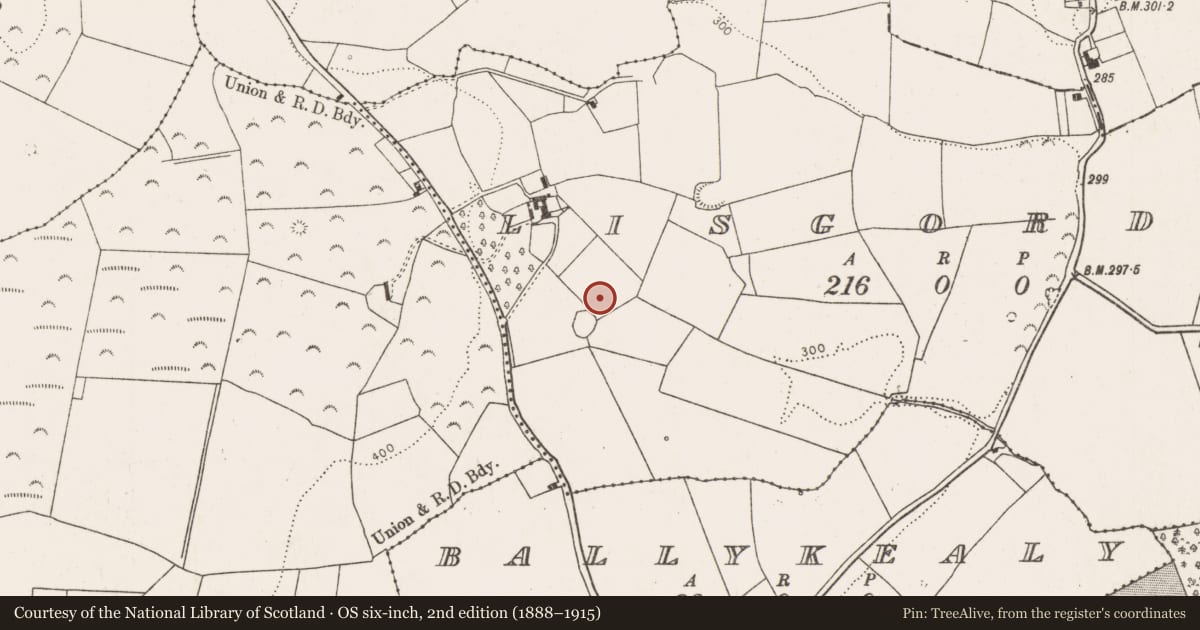 Ordnance Survey six-inch map, 2nd edition (1888–1915) covering the location of Standing stone, Lisgordan, County Limerick, with a pin at the register's coordinates