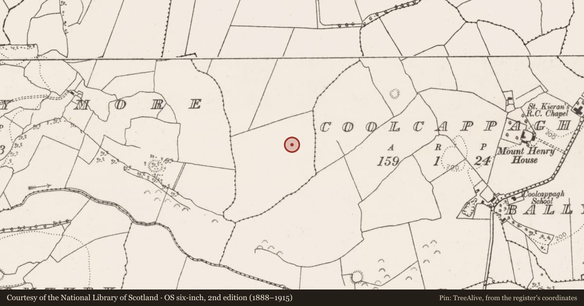 Ordnance Survey six-inch map, 2nd edition (1888–1915) covering the location of Ringfort - rath, Ballynisky, County Limerick, with a pin at the register's coordinates
