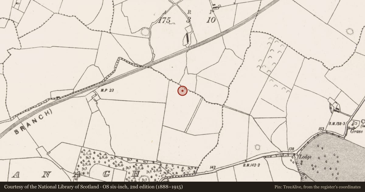 Ordnance Survey six-inch map, 2nd edition (1888–1915) covering the location of Ringfort - rath, Skehanagh, County Limerick, with a pin at the register's coordinates