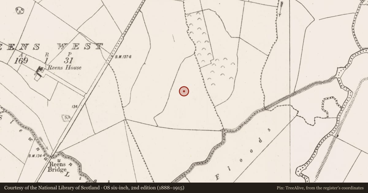 Ordnance Survey six-inch map, 2nd edition (1888–1915) covering the location of Ringfort - unclassified, Reens East, County Limerick, with a pin at the register's coordinates