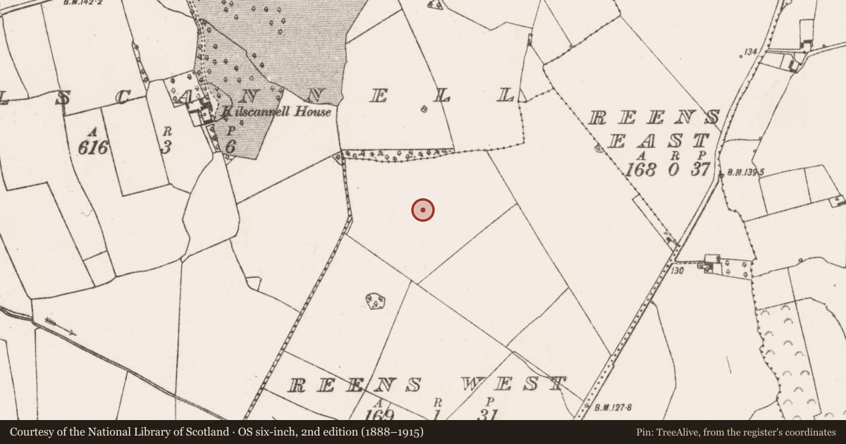 Ordnance Survey six-inch map, 2nd edition (1888–1915) covering the location of Enclosure, Reens West, County Limerick, with a pin at the register's coordinates