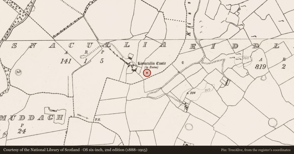Ordnance Survey six-inch map, 2nd edition (1888–1915) covering the location of Enclosure, Lisnacullia, County Limerick, with a pin at the register's coordinates