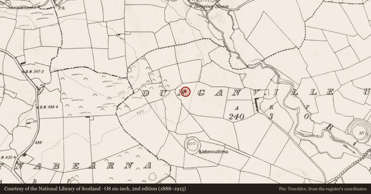 Ordnance Survey six-inch map, 2nd edition (1888–1915) covering the location of Enclosure - large enclosure, Dunganville Upper, County Limerick, with a pin at the register's coordinates