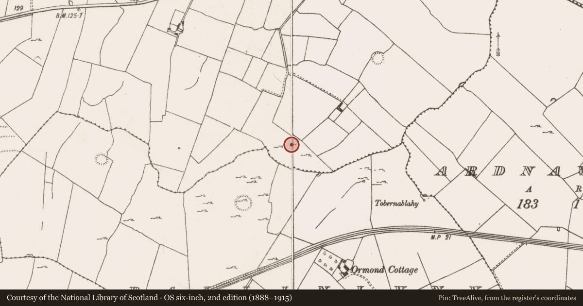 Ordnance Survey six-inch map, 2nd edition (1888–1915) covering the location of Ringfort - rath, Riddlestown, County Limerick, with a pin at the register's coordinates