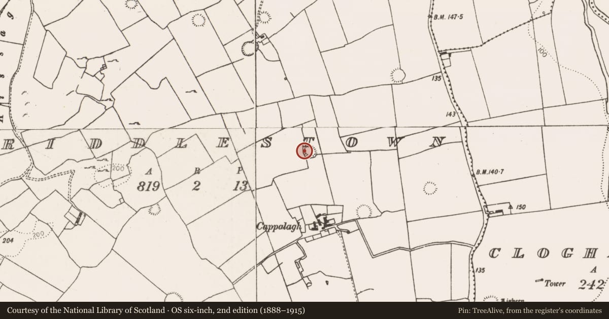 Ordnance Survey six-inch map, 2nd edition (1888–1915) covering the location of Ringfort - rath, Riddlestown, County Limerick, with a pin at the register's coordinates