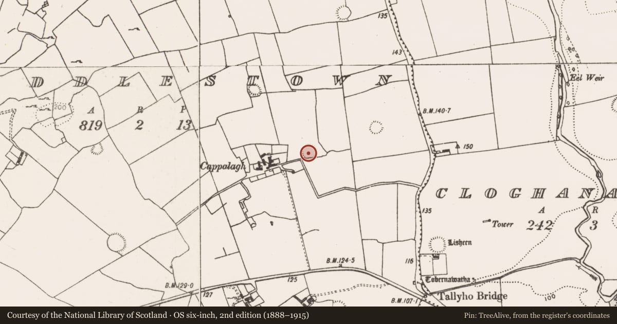 Ordnance Survey six-inch map, 2nd edition (1888–1915) covering the location of Ringfort - rath, Riddlestown, County Limerick, with a pin at the register's coordinates