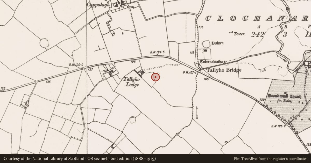 Ordnance Survey six-inch map, 2nd edition (1888–1915) covering the location of Ringfort - rath, Riddlestown, County Limerick, with a pin at the register's coordinates