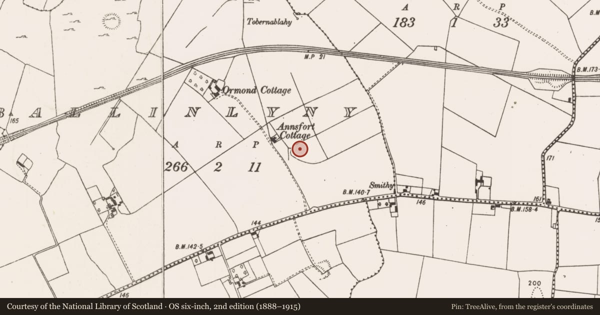 Ordnance Survey six-inch map, 2nd edition (1888–1915) covering the location of Ringfort - rath, Ballinlyny, County Limerick, with a pin at the register's coordinates