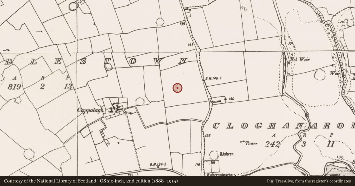 Ordnance Survey six-inch map, 2nd edition (1888–1915) covering the location of Ringfort - rath, Riddlestown, County Limerick, with a pin at the register's coordinates