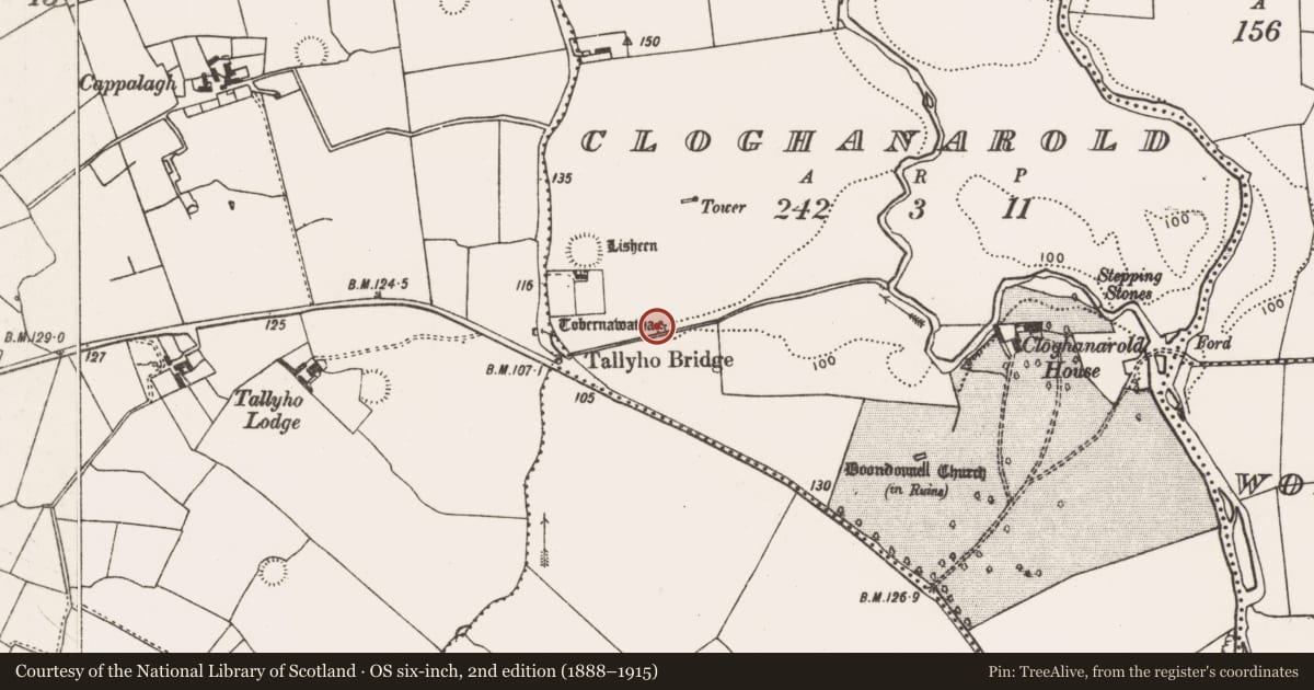 Ordnance Survey six-inch map, 2nd edition (1888–1915) covering the location of Ritual site - holy well, Cloghanarold, County Limerick, with a pin at the register's coordinates