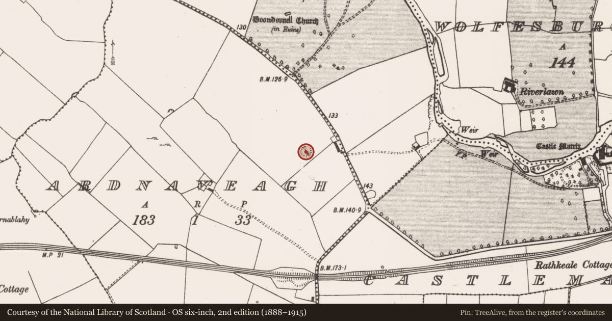 Ordnance Survey six-inch map, 2nd edition (1888–1915) covering the location of Ringfort - rath, Ardnaveagh, County Limerick, with a pin at the register's coordinates