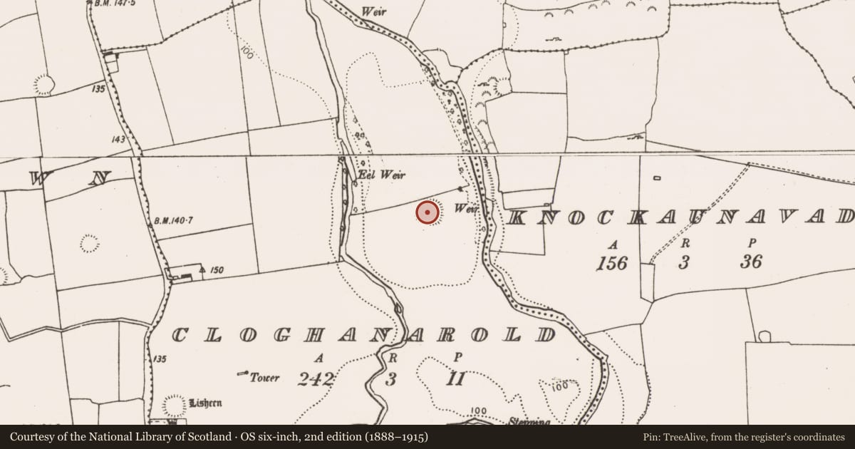 Ordnance Survey six-inch map, 2nd edition (1888–1915) covering the location of Ringfort - rath, Cloghanarold, County Limerick, with a pin at the register's coordinates