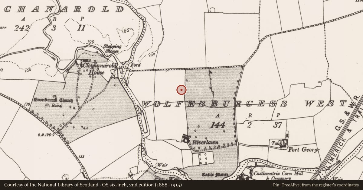 Ordnance Survey six-inch map, 2nd edition (1888–1915) covering the location of Ringfort - rath, Wolfesburgess West, County Limerick, with a pin at the register's coordinates