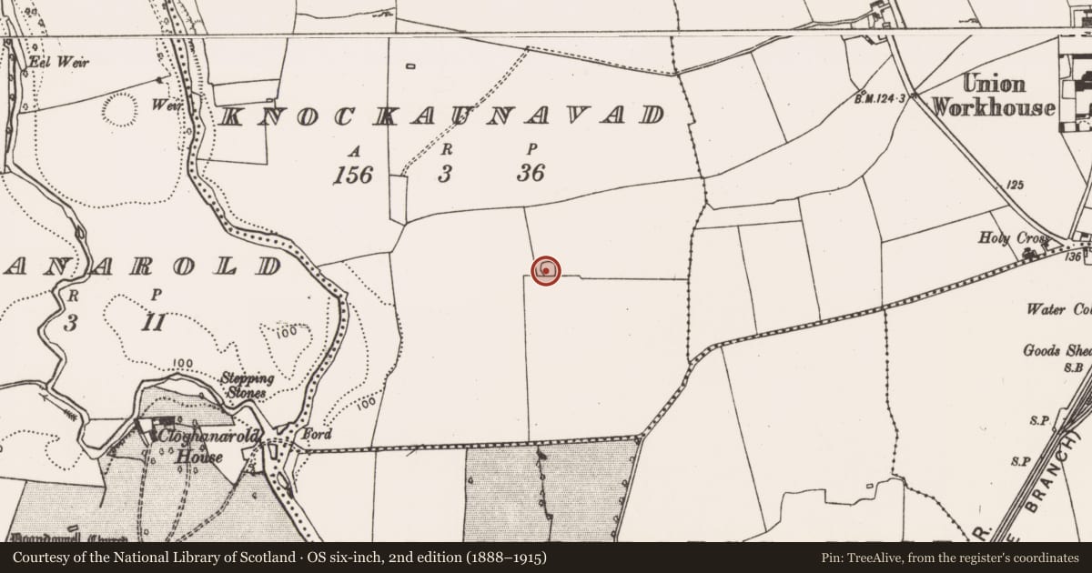 Ordnance Survey six-inch map, 2nd edition (1888–1915) covering the location of Ringfort - rath, Knockaunavad, County Limerick, with a pin at the register's coordinates