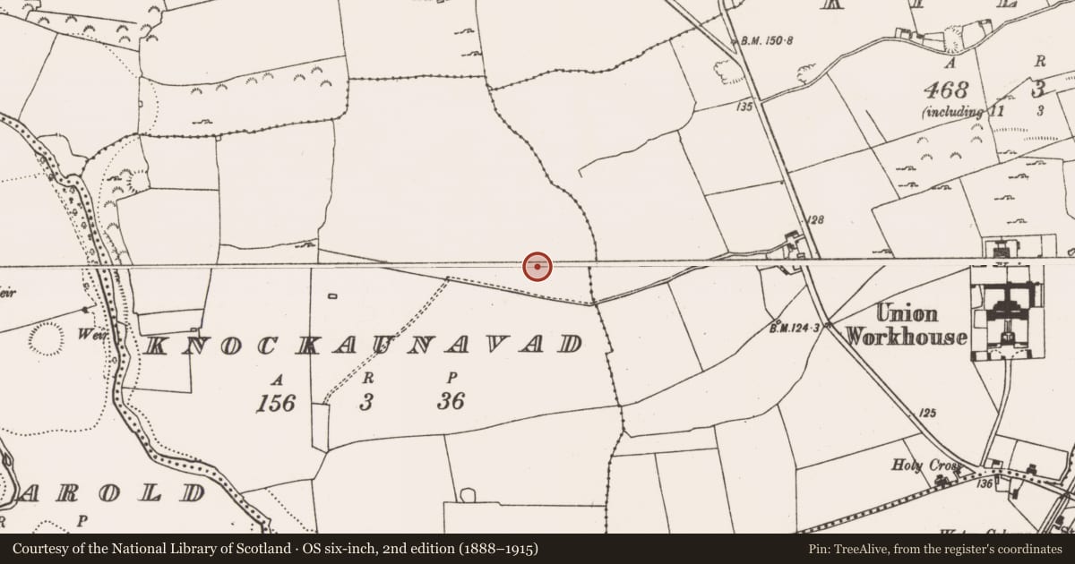 Ordnance Survey six-inch map, 2nd edition (1888–1915) covering the location of Enclosure, Knockaunavad, County Limerick, with a pin at the register's coordinates