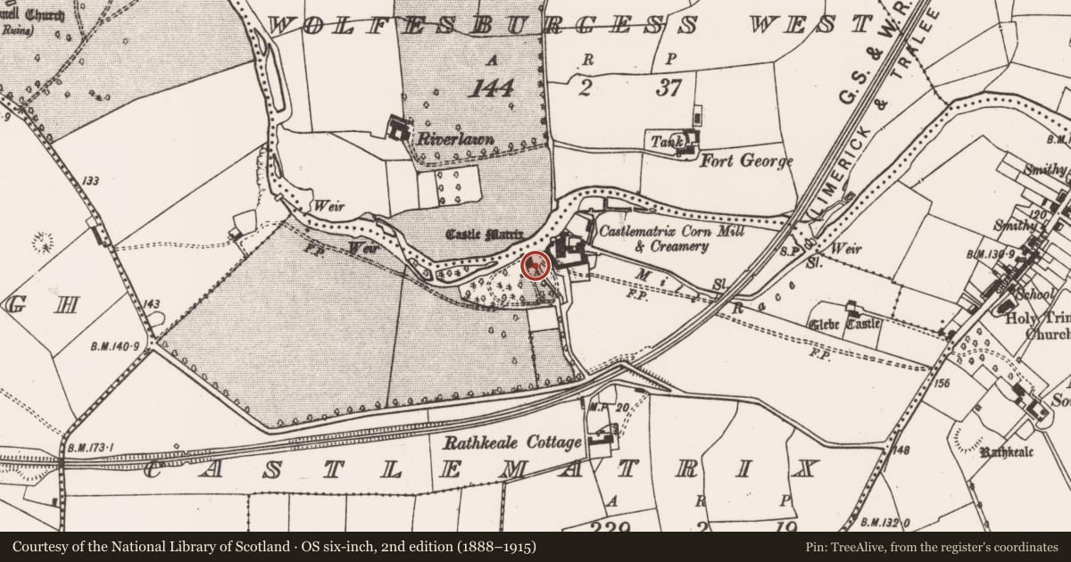 Ordnance Survey six-inch map, 2nd edition (1888–1915) covering the location of Castle - tower house, Wolfesburgess West, County Limerick, with a pin at the register's coordinates
