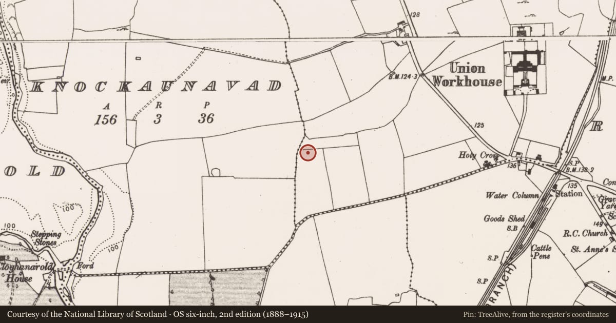 Ordnance Survey six-inch map, 2nd edition (1888–1915) covering the location of Ringfort - rath, Kyletaun, County Limerick, with a pin at the register's coordinates