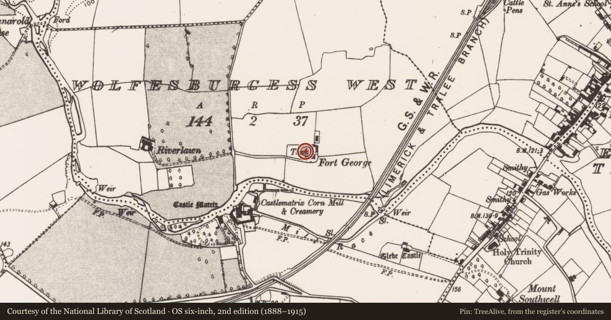 Ordnance Survey six-inch map, 2nd edition (1888–1915) covering the location of Ringfort - rath, Wolfesburgess West, County Limerick, with a pin at the register's coordinates