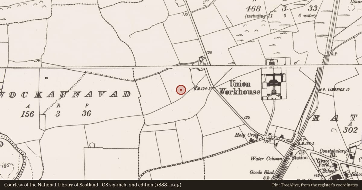 Ordnance Survey six-inch map, 2nd edition (1888–1915) covering the location of Ringfort - rath, Kyletaun, County Limerick, with a pin at the register's coordinates