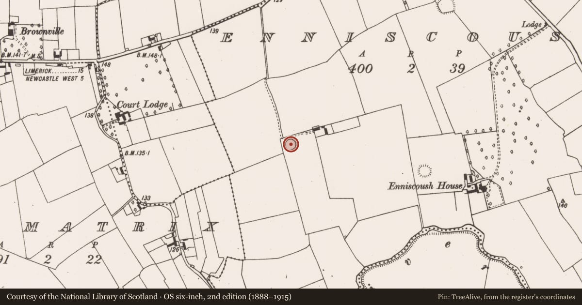 Ordnance Survey six-inch map, 2nd edition (1888–1915) covering the location of Ringfort - rath, Enniscoush, County Limerick, with a pin at the register's coordinates