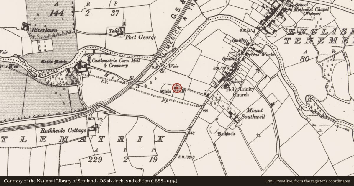 Ordnance Survey six-inch map, 2nd edition (1888–1915) covering the location of Castle - tower house, Castlematrix, County Limerick, with a pin at the register's coordinates