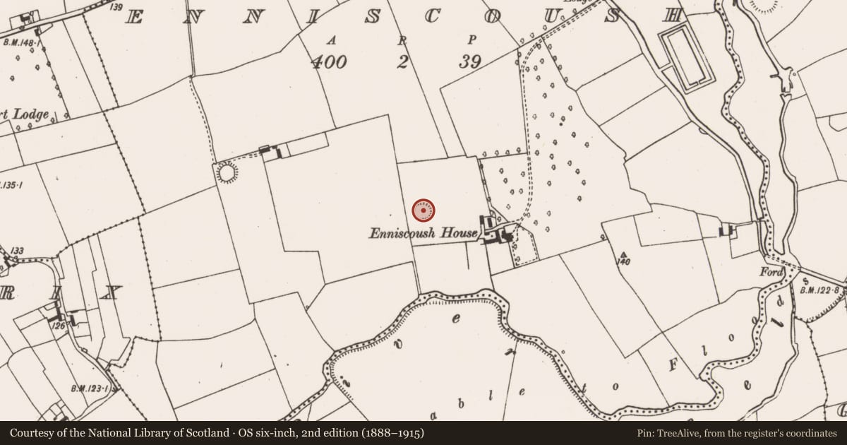 Ordnance Survey six-inch map, 2nd edition (1888–1915) covering the location of Ringfort - rath, Enniscoush, County Limerick, with a pin at the register's coordinates