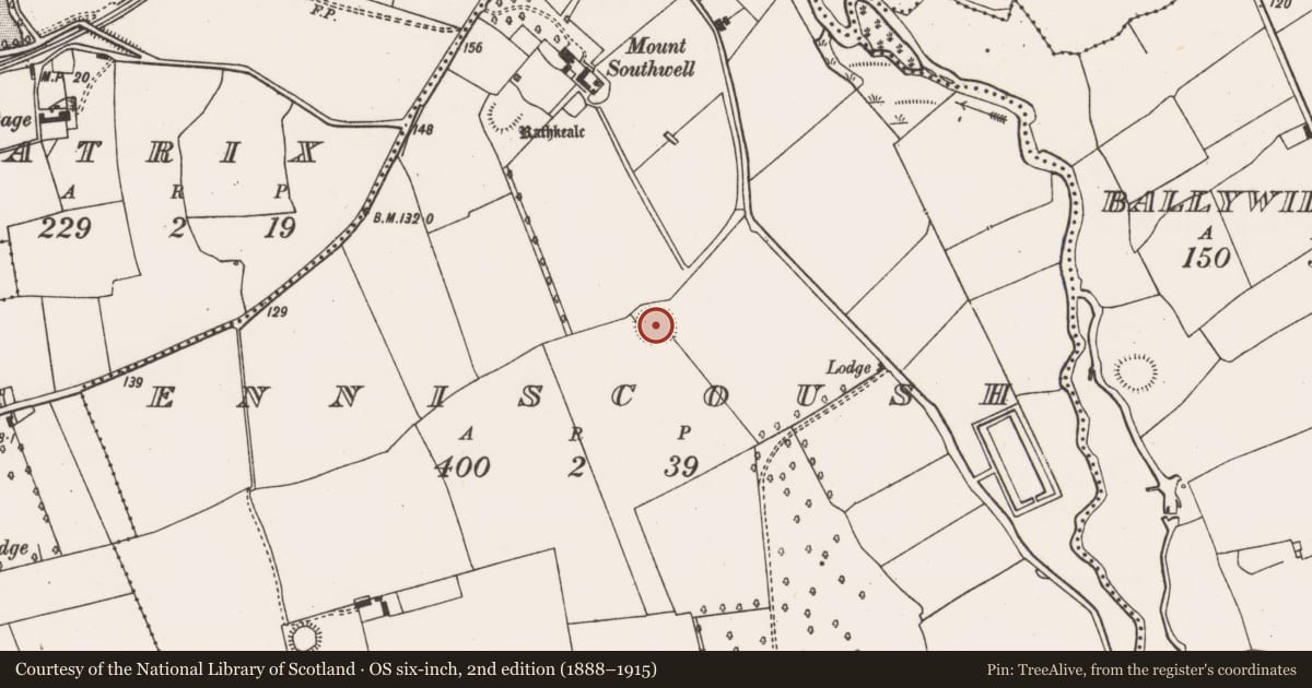 Ordnance Survey six-inch map, 2nd edition (1888–1915) covering the location of Ringfort - rath, Enniscoush, County Limerick, with a pin at the register's coordinates