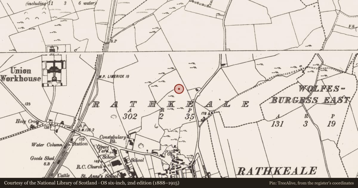 Ordnance Survey six-inch map, 2nd edition (1888–1915) covering the location of Standing stone, Rathkeale, County Limerick, with a pin at the register's coordinates
