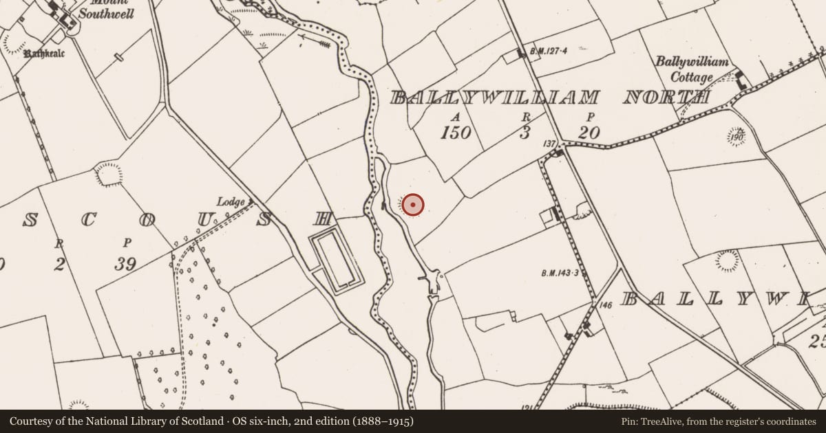 Ordnance Survey six-inch map, 2nd edition (1888–1915) covering the location of Ringfort - rath, Ballywilliam North, County Limerick, with a pin at the register's coordinates
