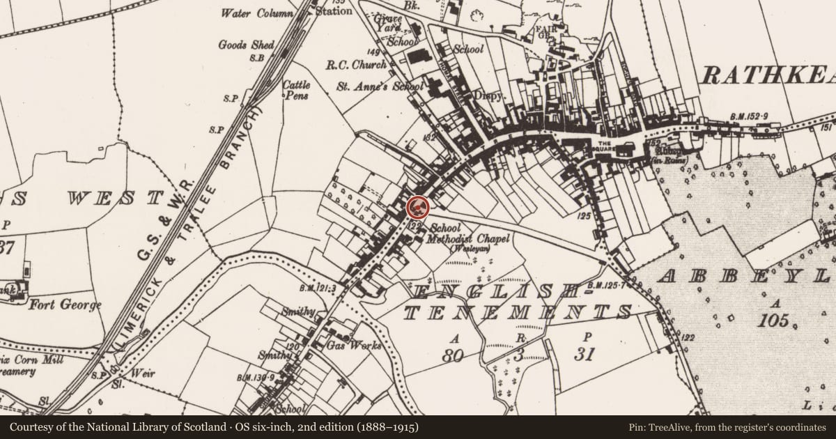 Ordnance Survey six-inch map, 2nd edition (1888–1915) covering the location of Historic town, County Limerick, with a pin at the register's coordinates