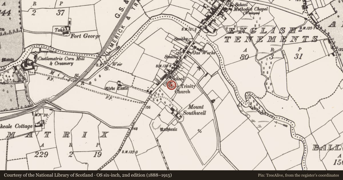 Ordnance Survey six-inch map, 2nd edition (1888–1915) covering the location of Graveslab, Enniscoush, County Limerick, with a pin at the register's coordinates