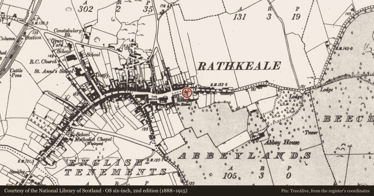 Ordnance Survey six-inch map, 2nd edition (1888–1915) covering the location of Graveyard, Abbeylands, County Limerick, with a pin at the register's coordinates