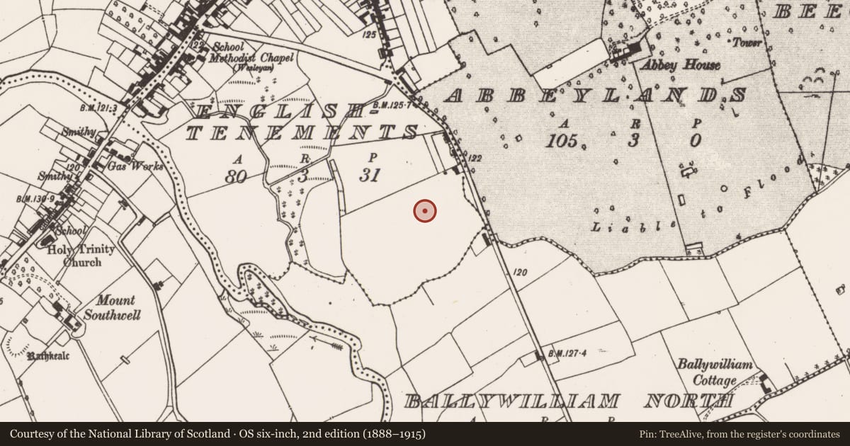 Ordnance Survey six-inch map, 2nd edition (1888–1915) covering the location of Excavation - miscellaneous, English Tenements, County Limerick, with a pin at the register's coordinates
