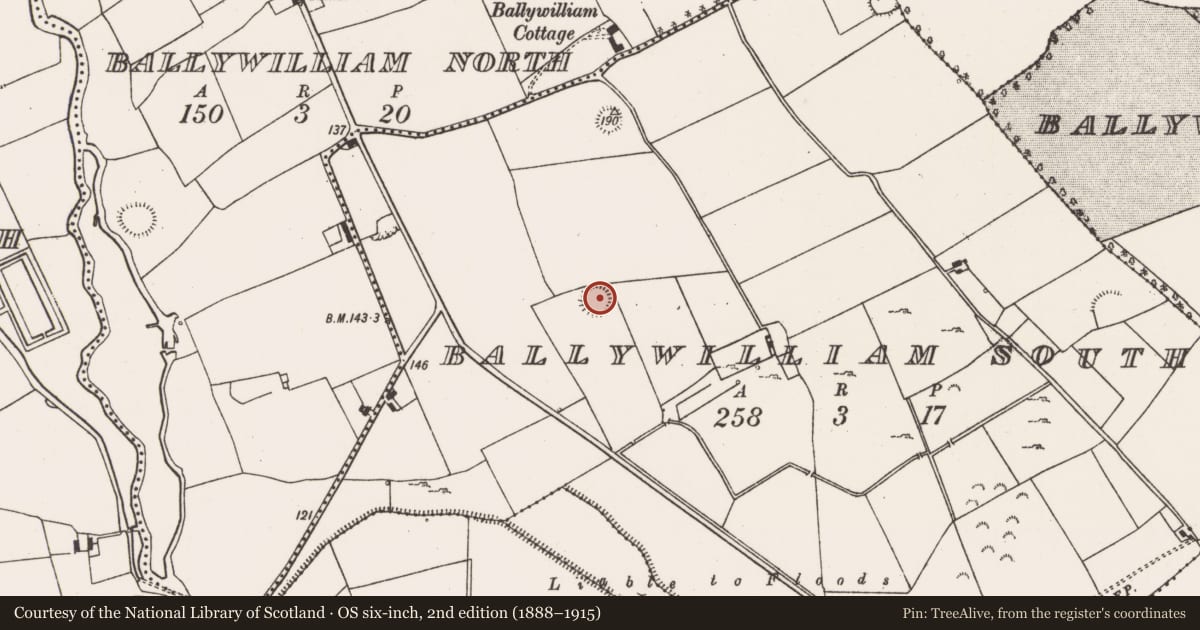 Ordnance Survey six-inch map, 2nd edition (1888–1915) covering the location of Ringfort - rath, Ballywilliam South, County Limerick, with a pin at the register's coordinates