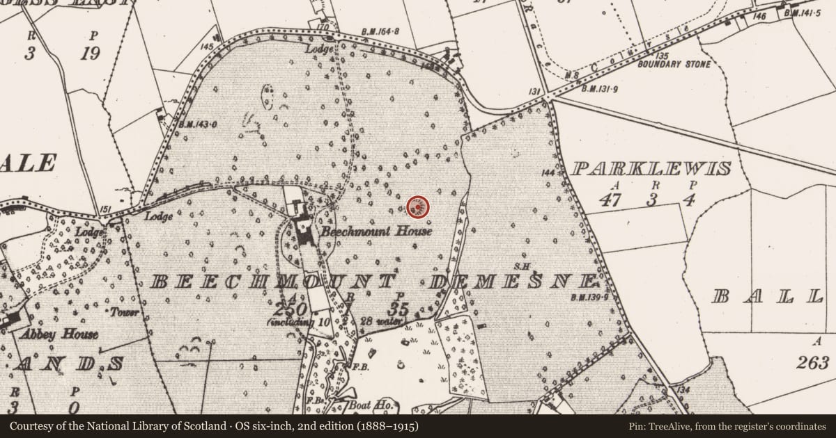 Ordnance Survey six-inch map, 2nd edition (1888–1915) covering the location of Ringfort - rath, Beechmount Demesne, County Limerick, with a pin at the register's coordinates