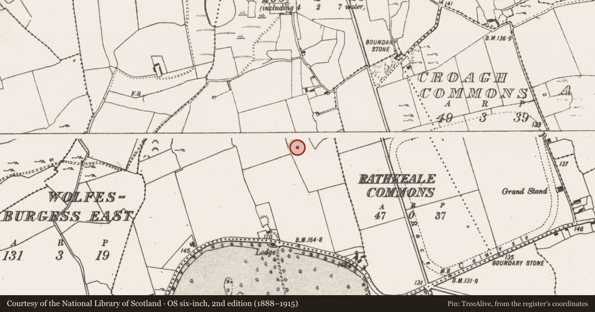 Ordnance Survey six-inch map, 2nd edition (1888–1915) covering the location of Ringfort - rath, Blossomhill, County Limerick, with a pin at the register's coordinates