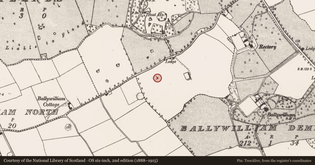 Ordnance Survey six-inch map, 2nd edition (1888–1915) covering the location of Ringfort - rath, Beechmount Demesne, County Limerick, with a pin at the register's coordinates