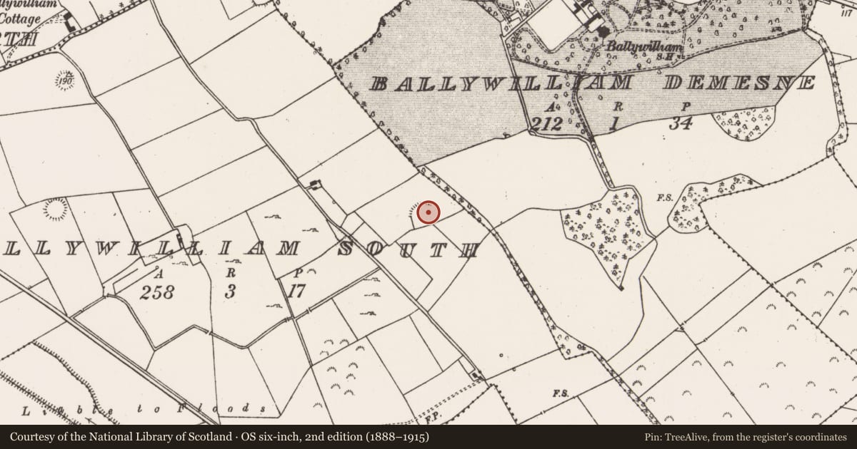 Ordnance Survey six-inch map, 2nd edition (1888–1915) covering the location of Ringfort - rath, Ballywilliam South, County Limerick, with a pin at the register's coordinates