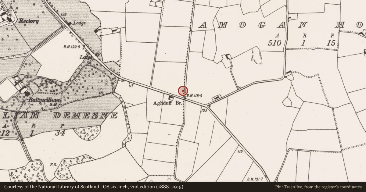 Ordnance Survey six-inch map, 2nd edition (1888–1915) covering the location of Ritual site - holy well, Ballymacave, County Limerick, with a pin at the register's coordinates