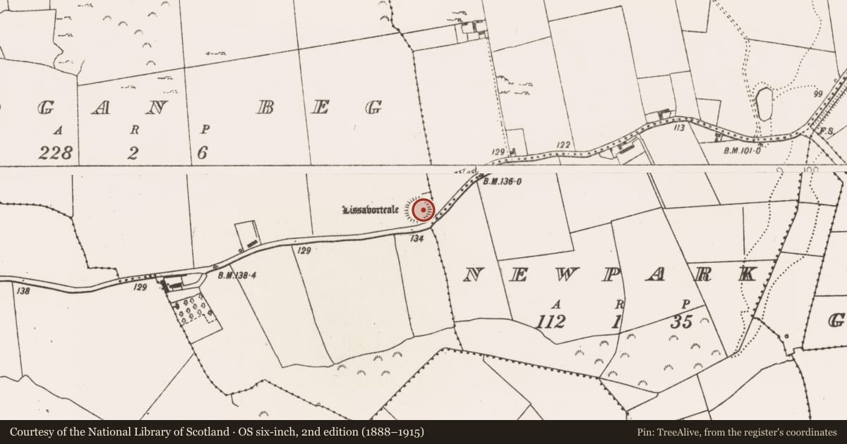 Ordnance Survey six-inch map, 2nd edition (1888–1915) covering the location of Ringfort - rath, Amogan Beg, County Limerick, with a pin at the register's coordinates