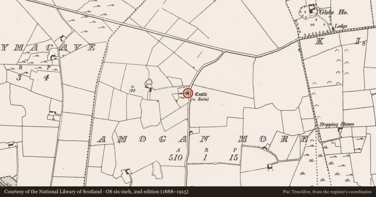 Ordnance Survey six-inch map, 2nd edition (1888–1915) covering the location of Bawn, Amogan More, County Limerick, with a pin at the register's coordinates