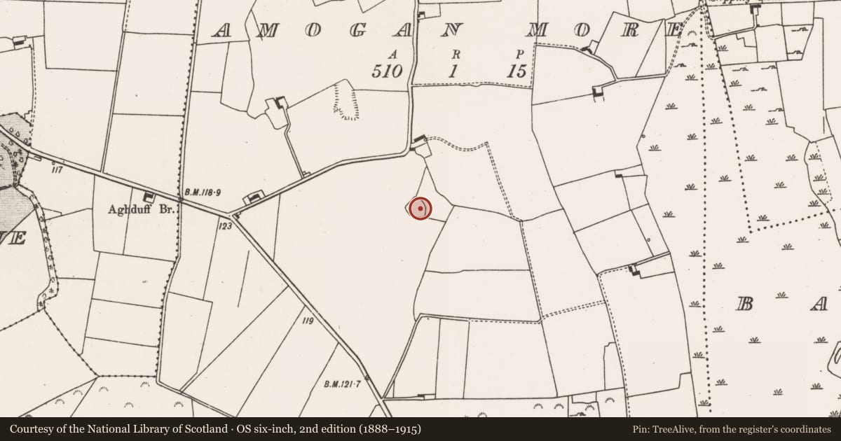 Ordnance Survey six-inch map, 2nd edition (1888–1915) covering the location of Ringfort - rath, Amogan More, County Limerick, with a pin at the register's coordinates