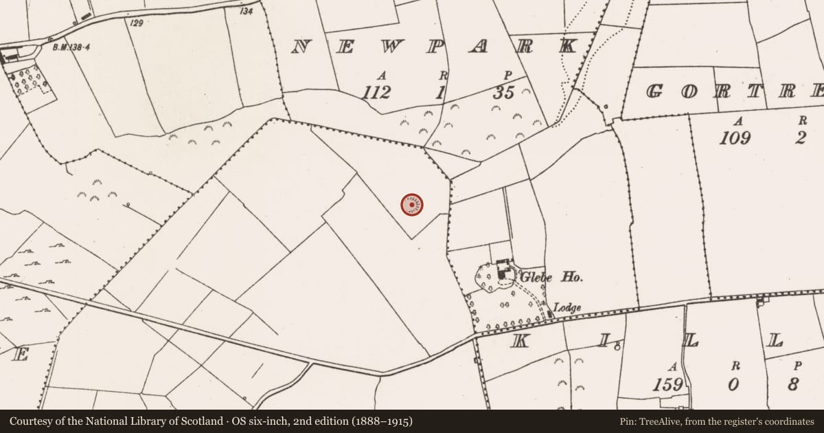 Ordnance Survey six-inch map, 2nd edition (1888–1915) covering the location of Ringfort - rath, Amogan More, County Limerick, with a pin at the register's coordinates